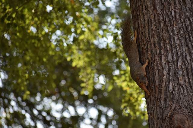 布拉德利：我小时候经常在自家花园里滑铲模仿杰拉德